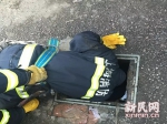 为了救"汪星人" 上海消防员在粪坑里三进三出 - Sh.Eastday.Com
