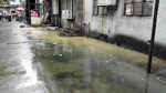 沪上老住宅商业用房污水横流 居民10年没敢开窗 - 新浪上海