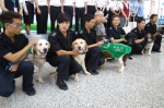 上海口岸首次为检疫犬授星 史宾格犬Lee当上"中队长" - Sh.Eastday.Com