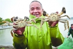 　　黄浦江大闸蟹以个大、肉厚、膏黄、味鲜为特色。　/晨报记者　竺钢 - 新浪上海