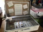 自博馆展示“我的自然百宝箱”，让公众做策展人 - 科学技术委员会