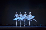 【特色选登】上海芭蕾舞团校庆专场《芭蕾舞品鉴》走进上理校园 - 上海理工大学