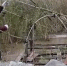 金山打击非法捕鸟:深藏于水塘芦苇中的巨网被捣毁 - Sh.Eastday.Com