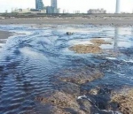 上海垃圾倾倒苏州案宣判 4人因污染环境罪获刑 - 新浪上海