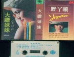 昔日歌星金炜玲回归献唱 那些年火遍上海的老歌手还记得么 - Sh.Eastday.Com
