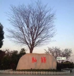 青浦有个红柚文化园 可以采摘柚子还能带柚子树回家种 - Sh.Eastday.Com