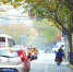 江宁路长寿路路口的“高峰禁止右转”标志被树叶遮蔽，驾驶员很容易误闯禁令。　/晨报记者　张佳琪 - 新浪上海