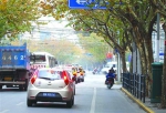 江宁路长寿路路口的“高峰禁止右转”标志被树叶遮蔽，驾驶员很容易误闯禁令。　/晨报记者　张佳琪 - 新浪上海