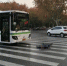 老人过马路被公交车撞死 涉事公司:正常行驶 - 新浪上海