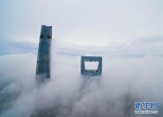 12月21日拍摄的浓雾笼罩下的上海中心大厦（左）、上海环球金融中心。 - 新浪上海