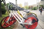 上海成全球最大共享单车城市 自行车靠什么再度风靡 - Sh.Eastday.Com