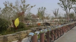 上海环境大整治完成“黄妈妈的心愿”：水清岸绿 - 上海女性