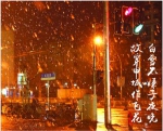 上海昨夜下小雪 明起三天郊区最低温或降至-5℃ - Sh.Eastday.Com