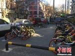 5秒破密码！儿童违规骑共享单车怎么破？ - 上海女性