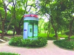 中山公园森林生态观测站实时发布游憩指数 系上海首个 - Sh.Eastday.Com