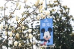 上海迪士尼推出"春季卡" 花1250元7月16日前可无限次入园 - Sh.Eastday.Com