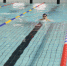 我校举行第七届教工游泳比赛 - 上海财经大学