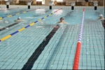 我校举行第七届教工游泳比赛 - 上海财经大学
