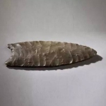 克洛维斯矛头（13000—14000年前，发现于美国亚利桑那州） - 上海交通大学