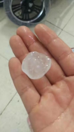 图说：浦东川沙地区冰雹似硬币大小。网友供图 - 新浪上海