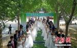 　　中国矿大20对学生情侣在毕业离校之前，在银杏“时光隧道”举行集体婚礼。韦超 摄 - 新浪上海