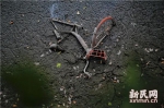 上海一小河疏浚清污 10多辆共享单车尸横河底 - 新浪上海