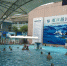 上海732家游泳场所开放 各大泳池精选盘点 - 新浪上海