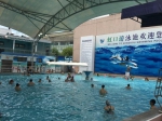 上海732家游泳场所开放 各大泳池精选盘点 - 新浪上海