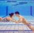 上海小两口相约游向东京奥运 中国游泳迎第一对“夫妻档” - 上海女性