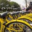 重磅！8月18日起上海暂停新增投放共享自行车 - Sh.Eastday.Com