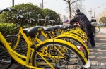 重磅！8月18日起上海暂停新增投放共享自行车 - Sh.Eastday.Com