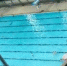 搭地铁去游泳:轨交站点周边公共游泳馆信息汇总 - 新浪上海