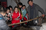 外出考察，感受崇明乡土文化，了解棉花种植及后期制作工艺.JPG - 上海女性