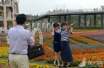 都市中尽享野趣 上海“最中心”的郊野公园迎来大客流 - Sh.Eastday.Com