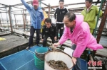 图说：蟹农驾驶渔船起航捕捞。图片来源：中新网 - 新浪上海