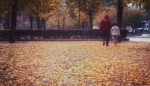 在上海这些“落叶不扫”的街道上 除了劈情操、赏落叶还能看些啥 - Sh.Eastday.Com