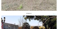 杨浦新建改建18块迷你绿地 市民出门见绿见荫 - 新浪上海