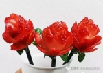 沪头茬草莓开采 最全草莓采摘指南发布 - 新浪上海