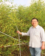 【忆钟扬·学钟扬】澎湃新闻：
钟扬教授“献给未来上海的礼物”：曾想在上海海边种满红树林 - 复旦大学