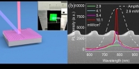 复旦大学科研团队成功研制全硅激光器
以硅为增益介质产生激光 集成硅光电子的重要拼图 - 复旦大学