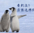 [文汇网]暴雪来袭，六院医生出品“企鹅漫步法”连加拿大朋友都点赞[图] - 上海交通大学