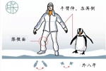 [文汇网]暴雪来袭，六院医生出品“企鹅漫步法”连加拿大朋友都点赞[图] - 上海交通大学