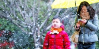 沪今夜雪停开启晴冷模式 全天保持在2℃至4℃ - Sh.Eastday.Com