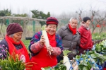 他们到乡村办了场“微孝家宴” 与200多位老人一同过个乡土年 - 上海女性