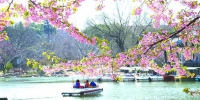 ▲上海植物园湖畔盛开的河津樱引来不少游客。 - 新浪上海