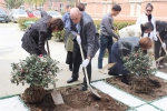 植树节，他们为复兴路校园种下“春色”
——中英学院组织“趣味自然，亲近绿色”植树节活动 - 上海理工大学