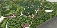朱平公路以西803环境综合治理区域内332.3亩的湿地生态园建设（效果图） - 新浪上海