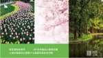 上海春季旅游最新指南发布 围绕赏花踏青等主题 - 新浪上海
