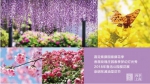 上海春季旅游最新指南发布 围绕赏花踏青等主题 - 新浪上海