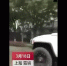 网传视频上海一驾驶员“开悍马马路遛马”，警方已介入调查：马路上到底能不能跑马？ - 新浪上海